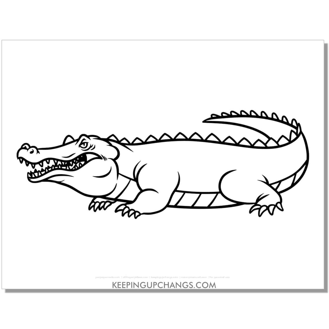 free angry alligator, crocodile coloring page, sheet.