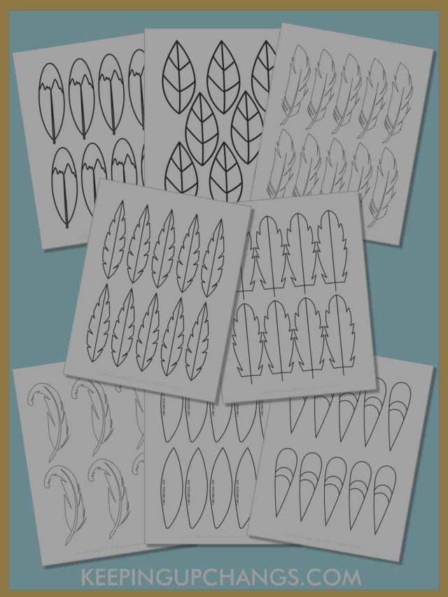 Best Free Printable Feather Outlines, Templates, Stencils