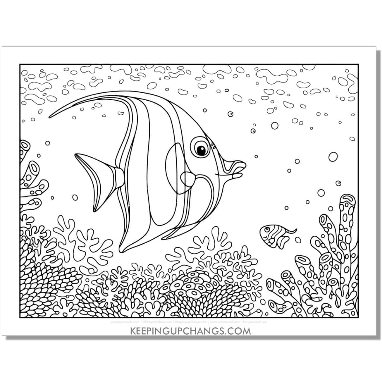 free full size angelfish coloring page, sheet.