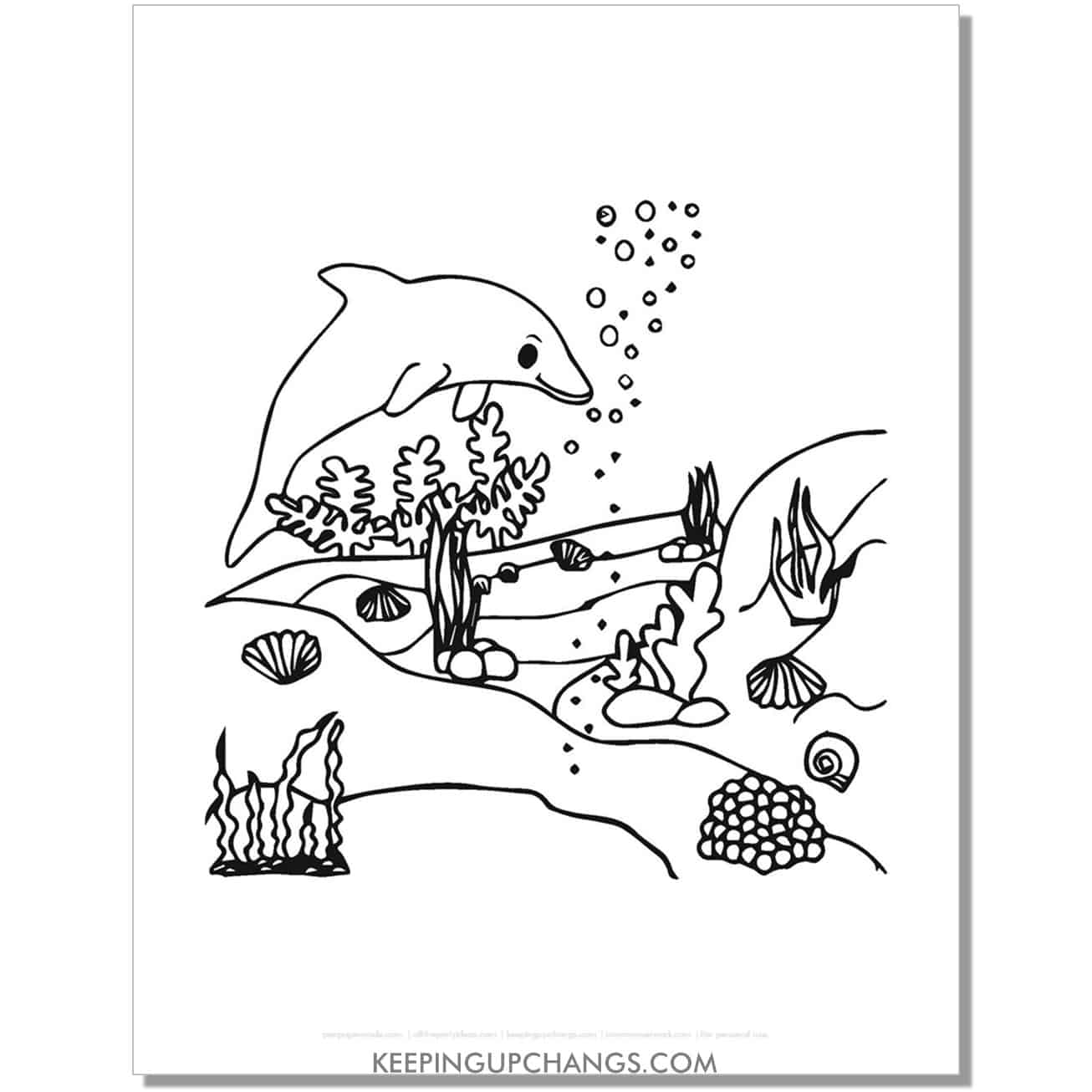 free dolphin with coral reef, sea shells coloring page, sheet.