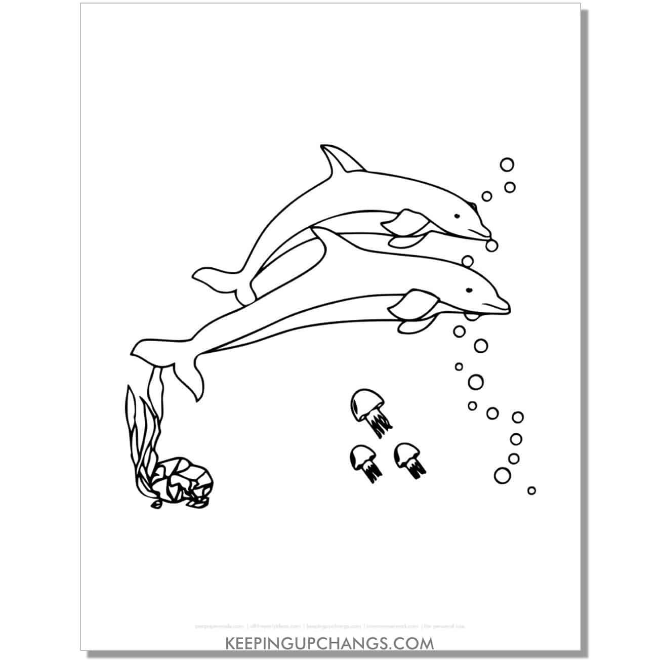 free dolphin pair, couple and jellyfish coloring page, sheet.