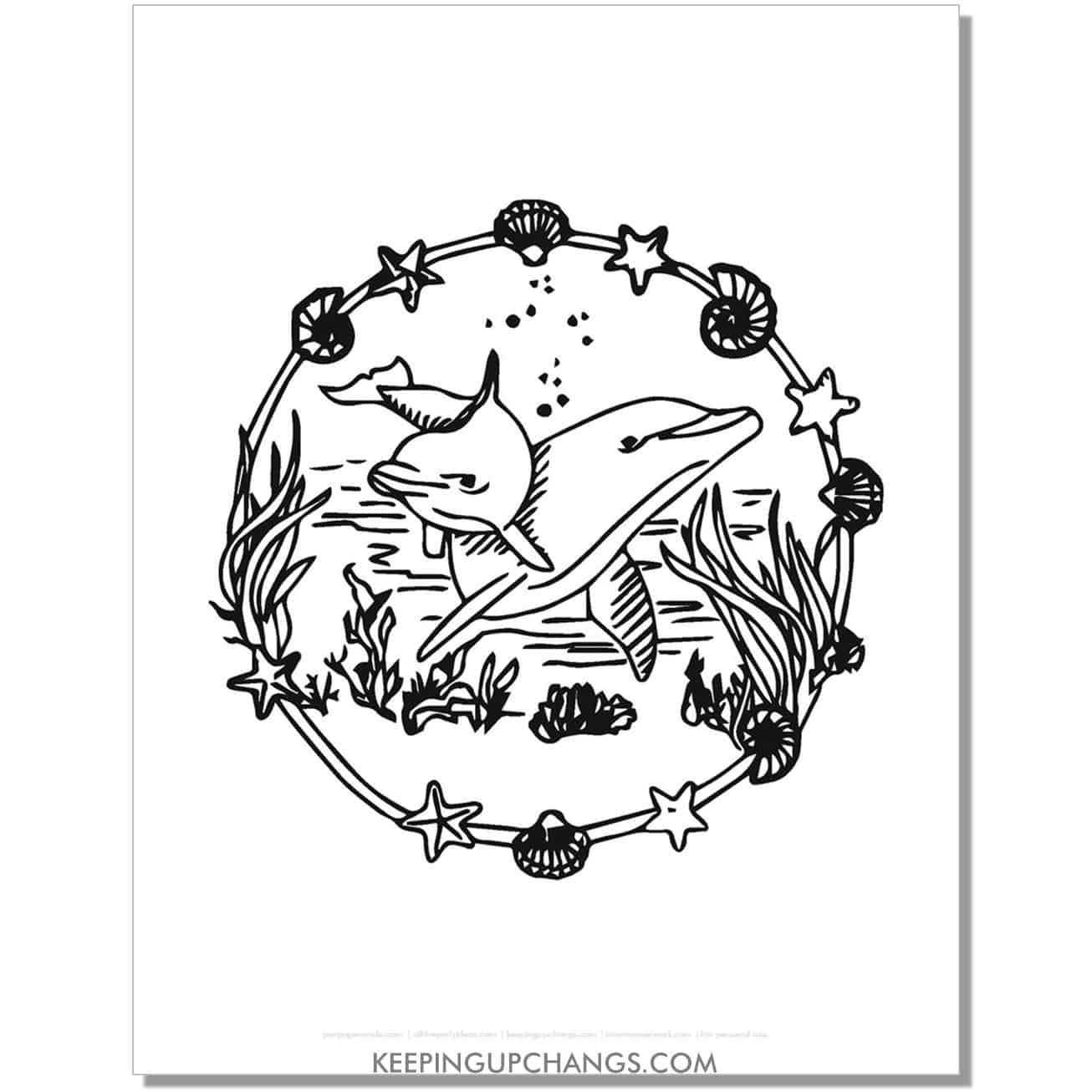 free dolphin in sea shell frame coloring page, sheet.