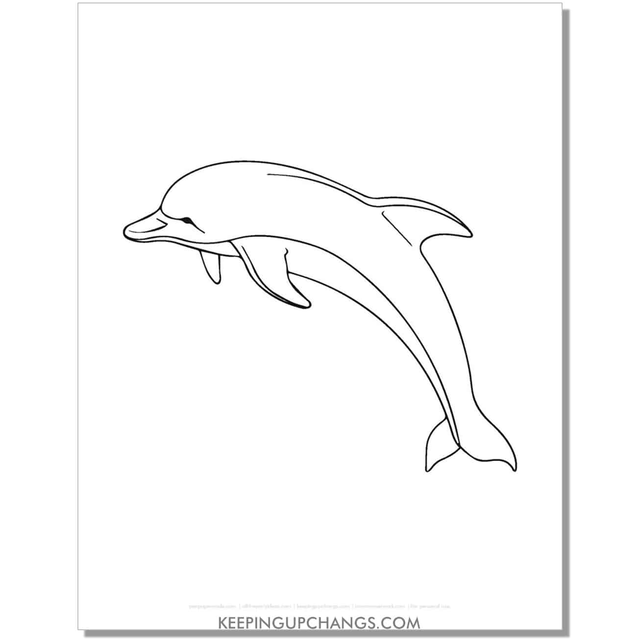 free dolphin outline coloring page, sheet.