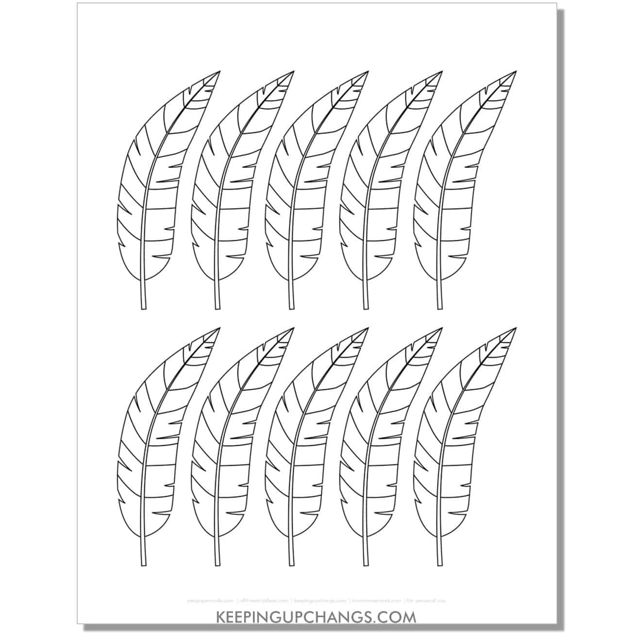 free quill feather template, stencil, outline.