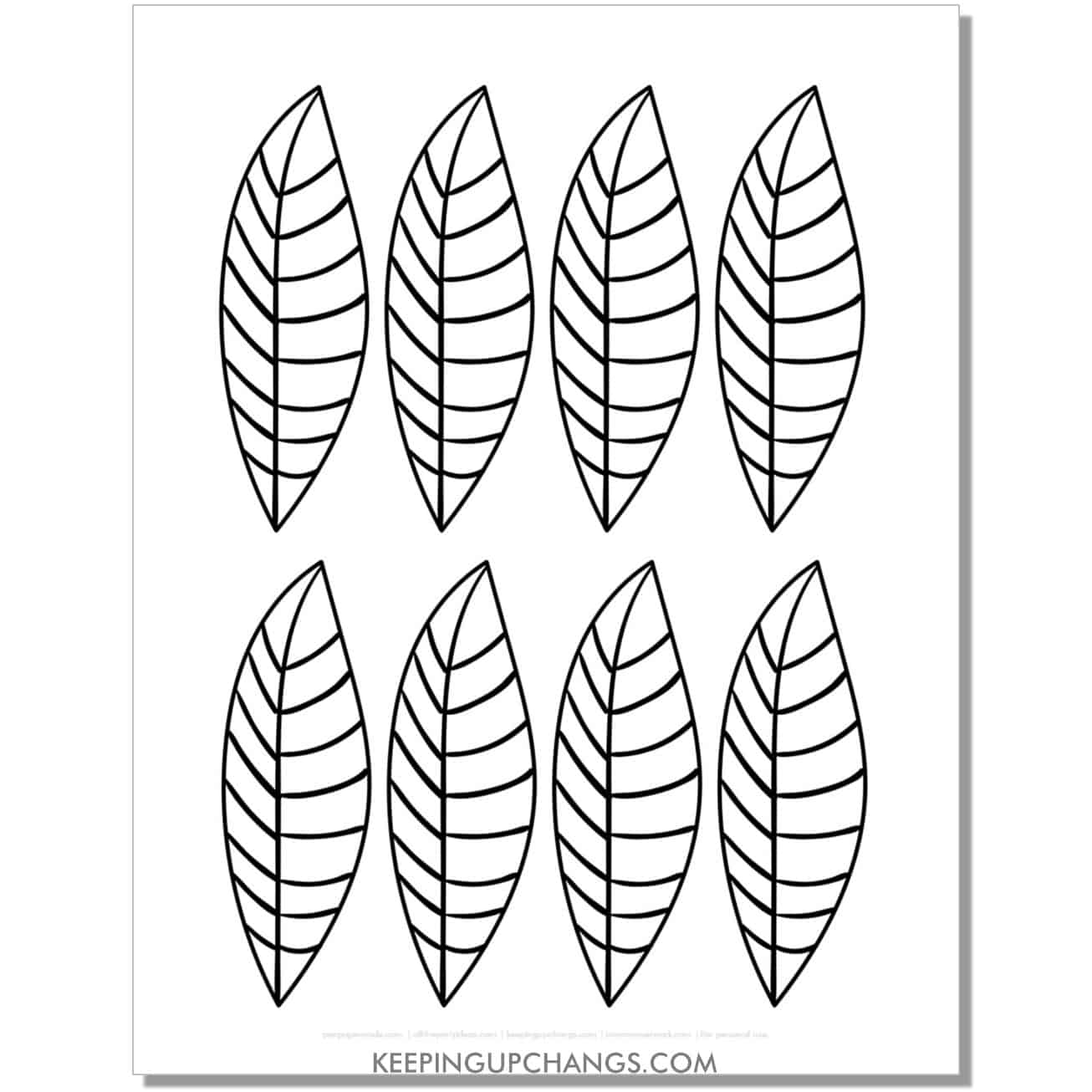free skinny leaf feather template, stencil, outline.