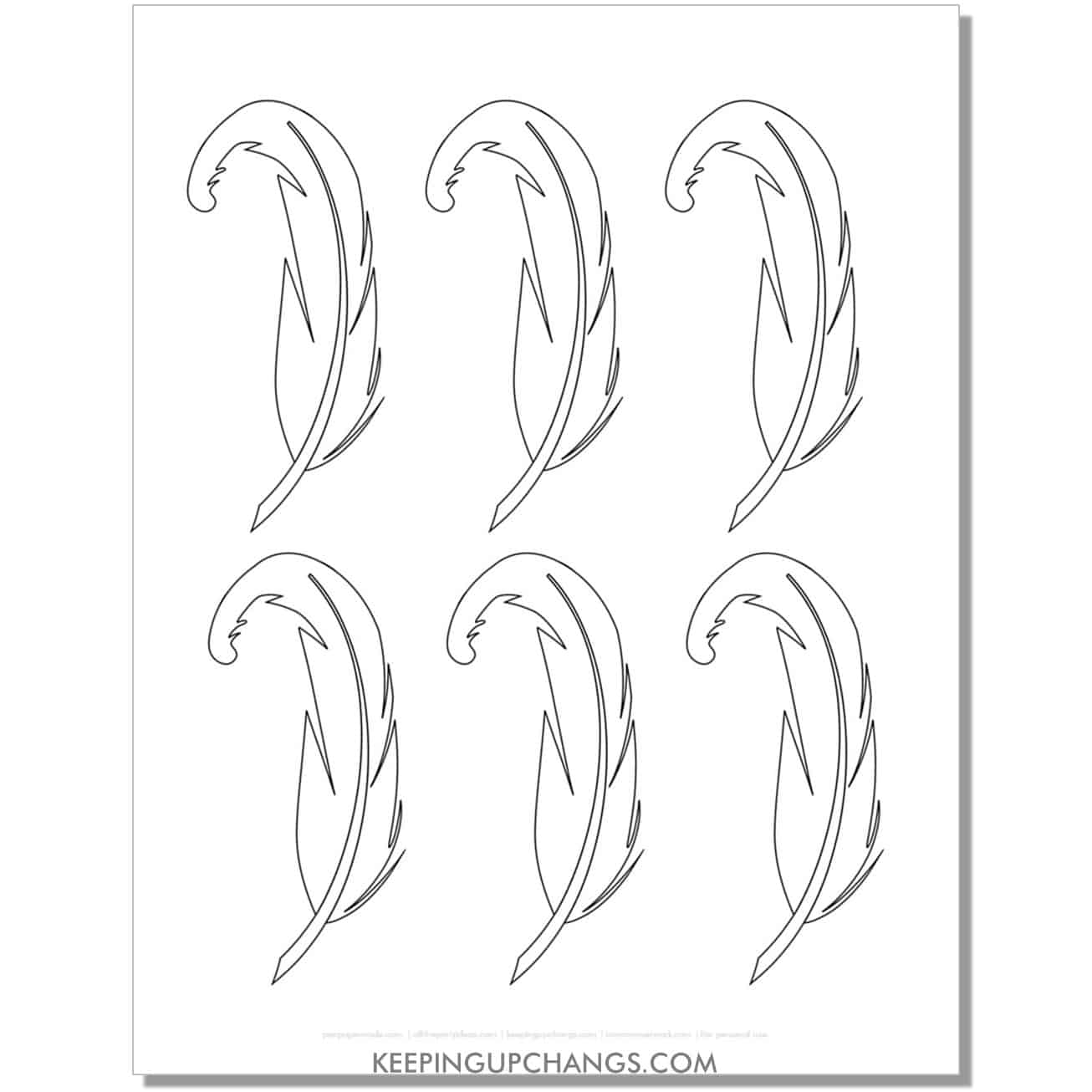 free curved light goose feather template, stencil, outline.
