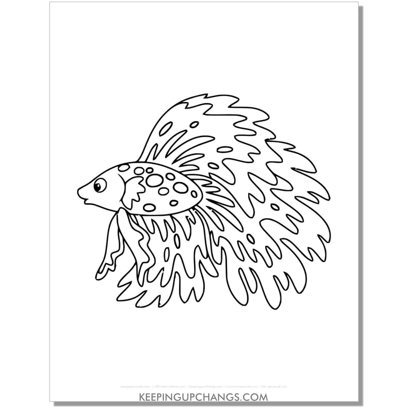 free beta fish coloring page, sheet.