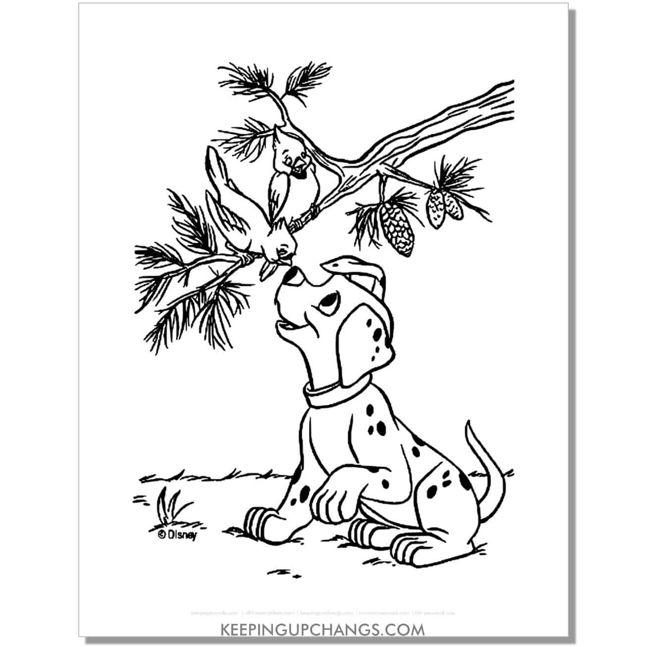 free rolly playing with cardinal in pine tree 101 dalmations coloring page, sheet.