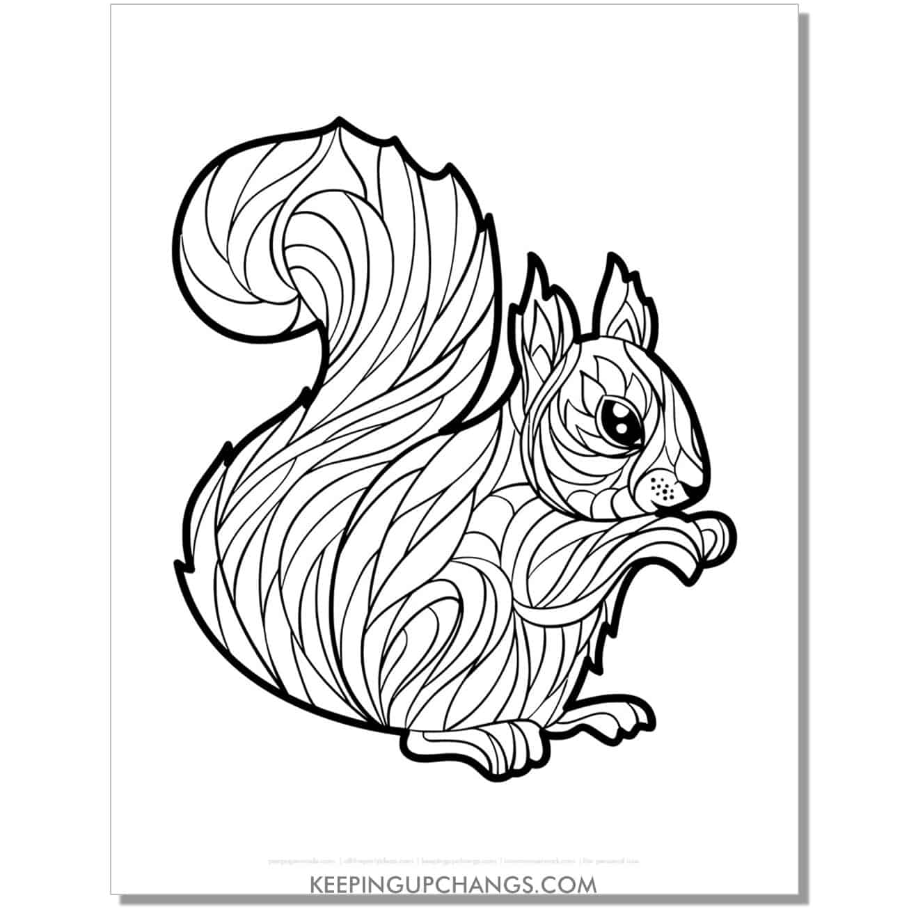 free squirrel abstract lines coloring page, sheet.