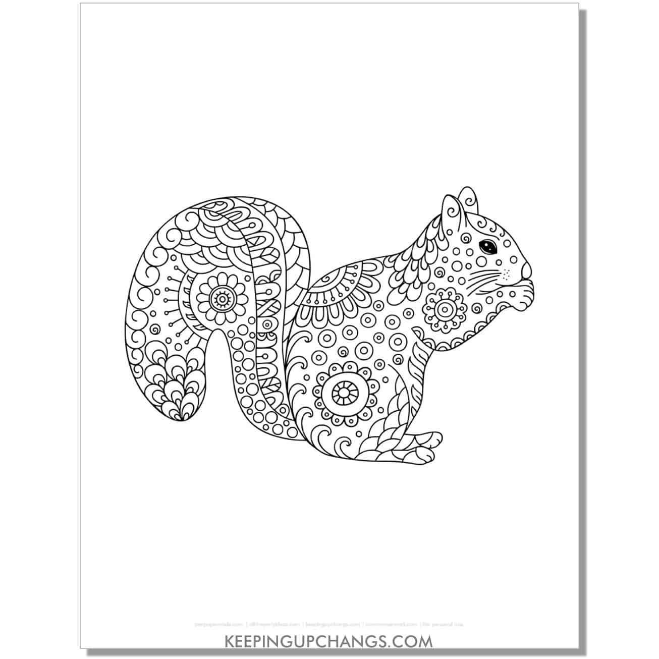 free squirrel mandala zentangle easy coloring page, sheet.