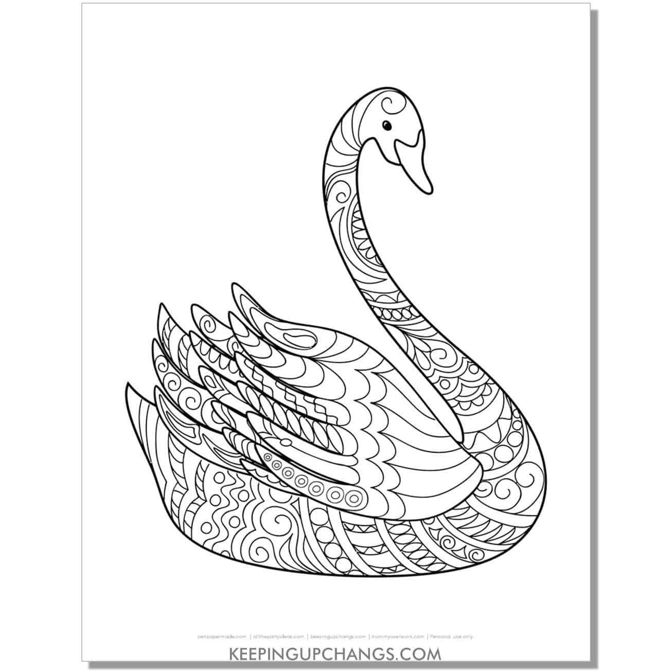 tundra swan coloring page.