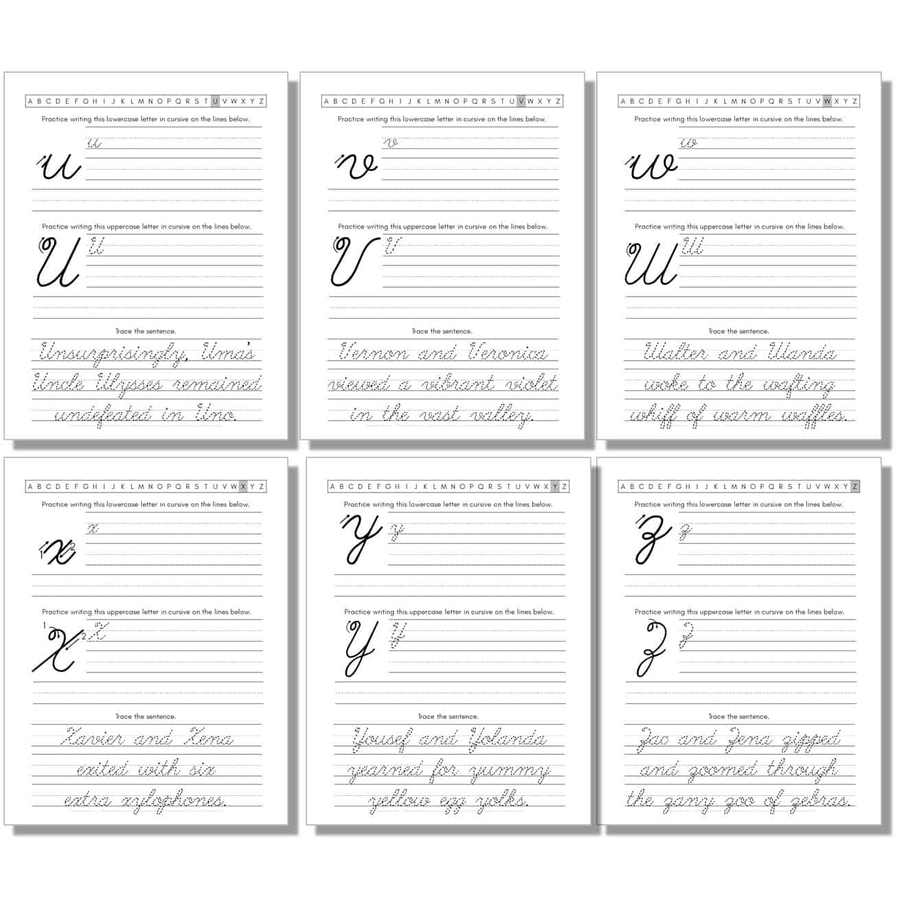 cursive worksheet with uppercase, lowercase letters and sentences for u, v, w, x, y, z.