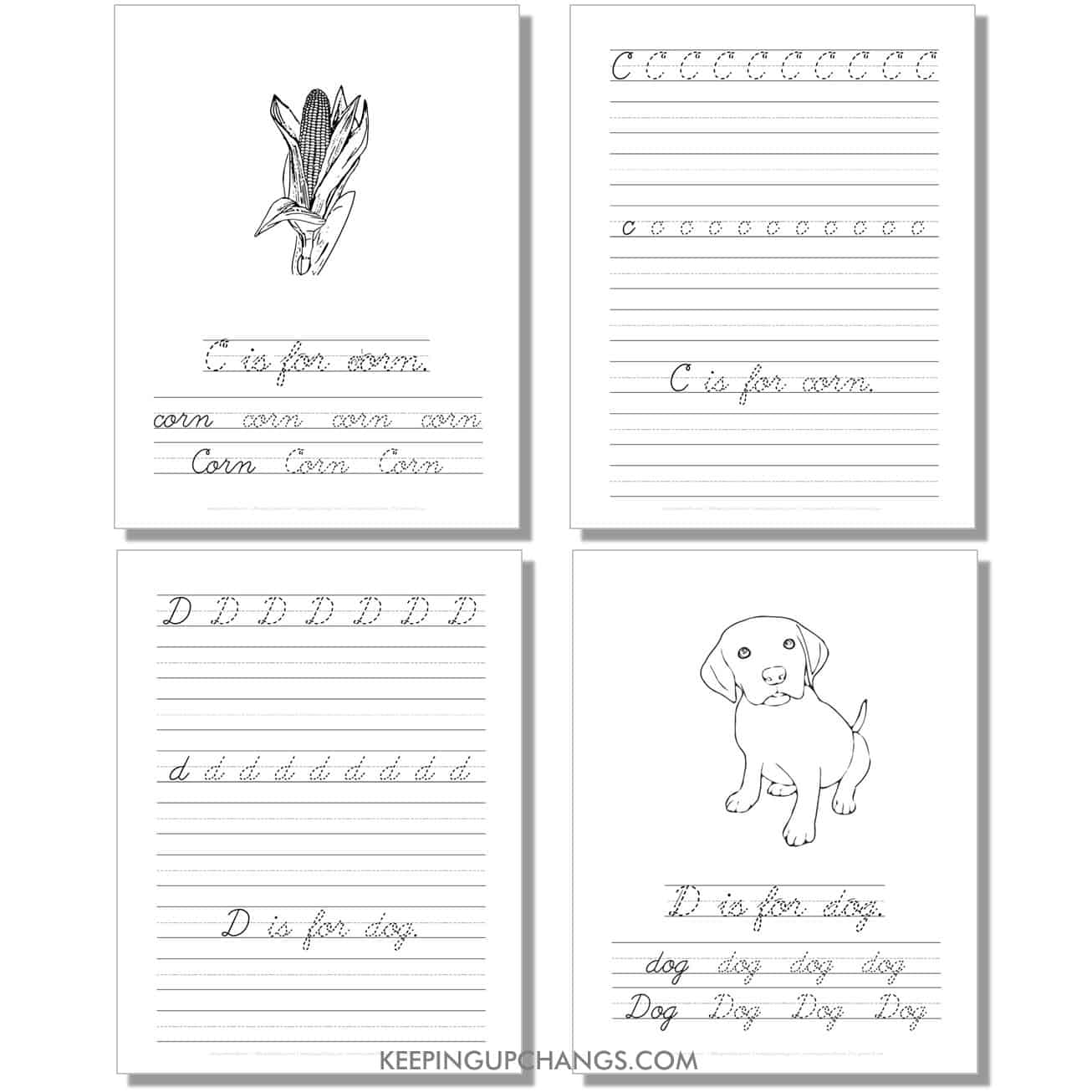 cursive worksheet with uppercase, lowercase letters, sentence for c, d.