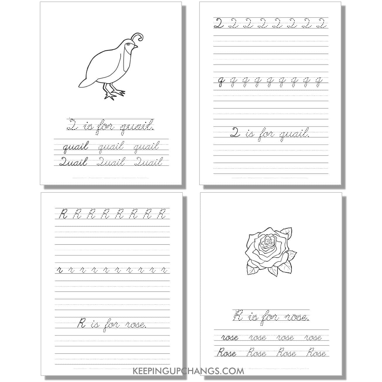 cursive worksheet with uppercase, lowercase letters, sentence for q, r.