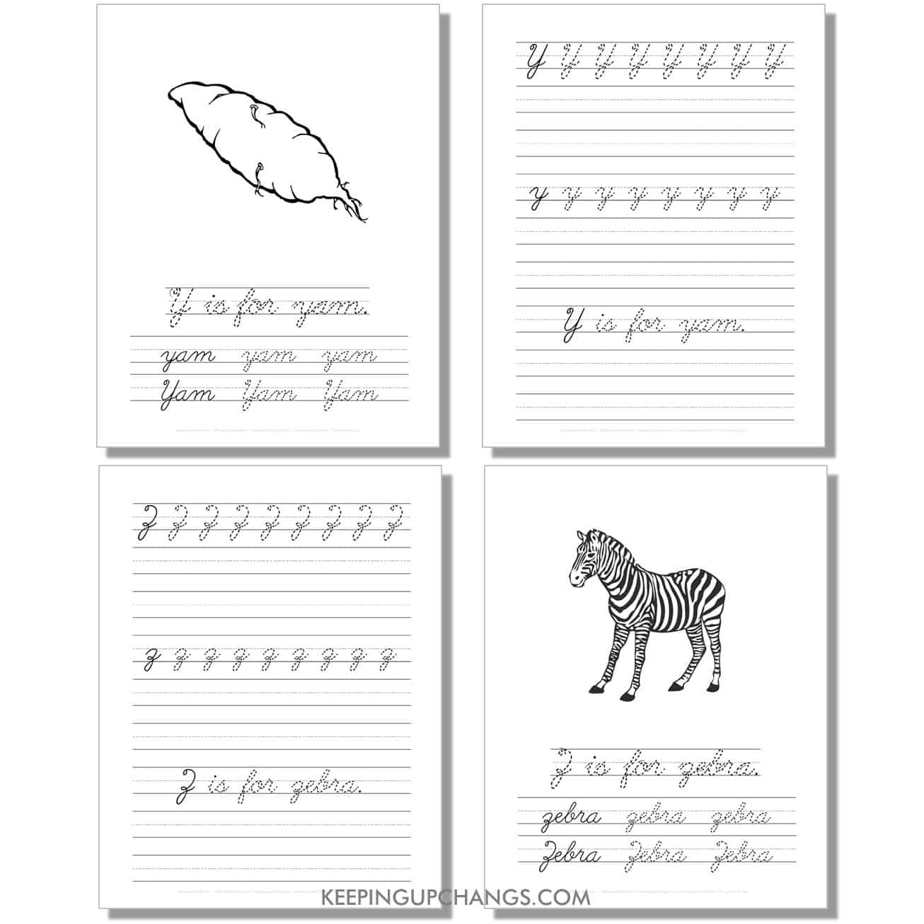 cursive worksheet with uppercase, lowercase letters, sentence for y, z.