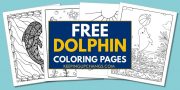 55+ Free Dolphin Coloring Pages, Sheets [MOST POPULAR Printables!]