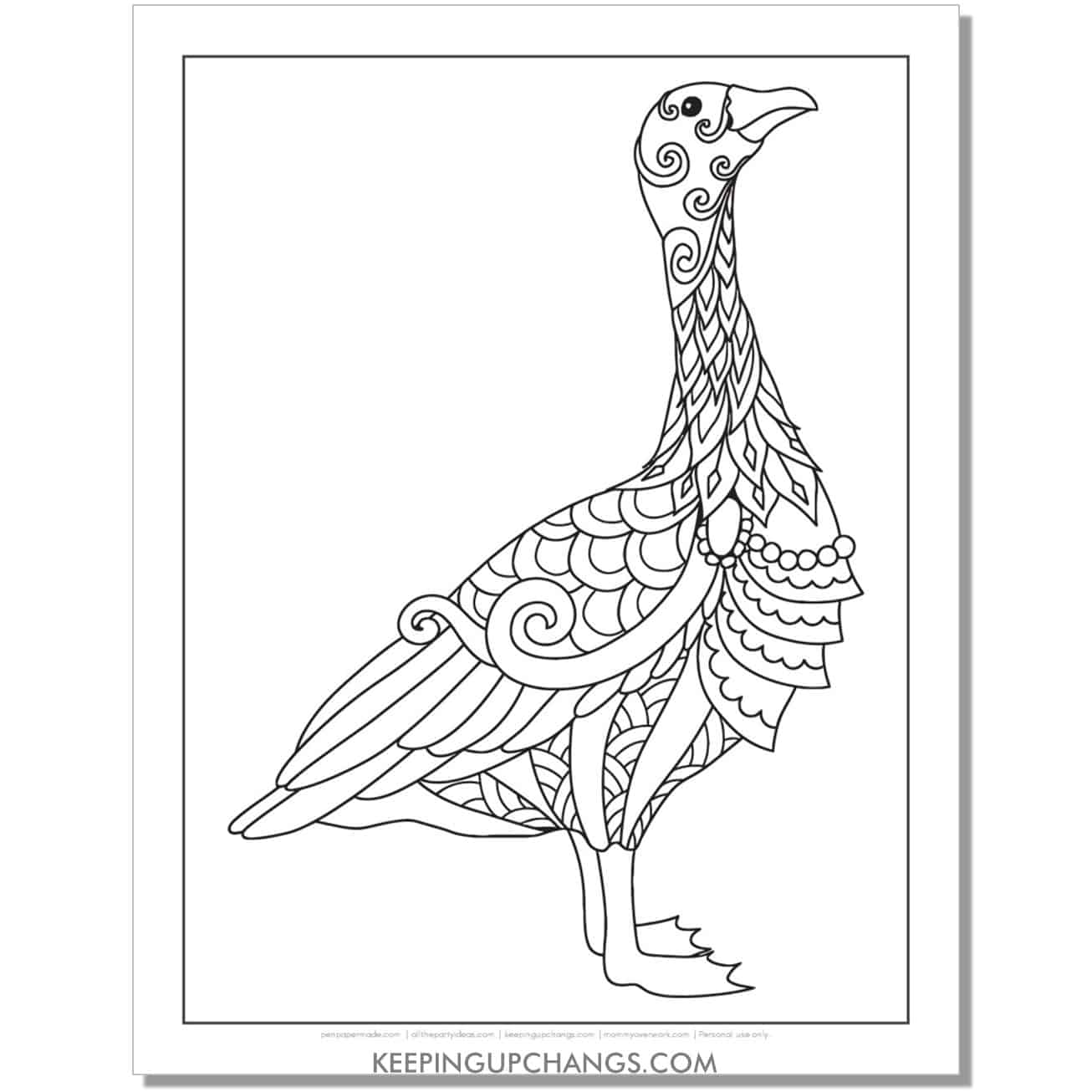 duck or swan coloring page.