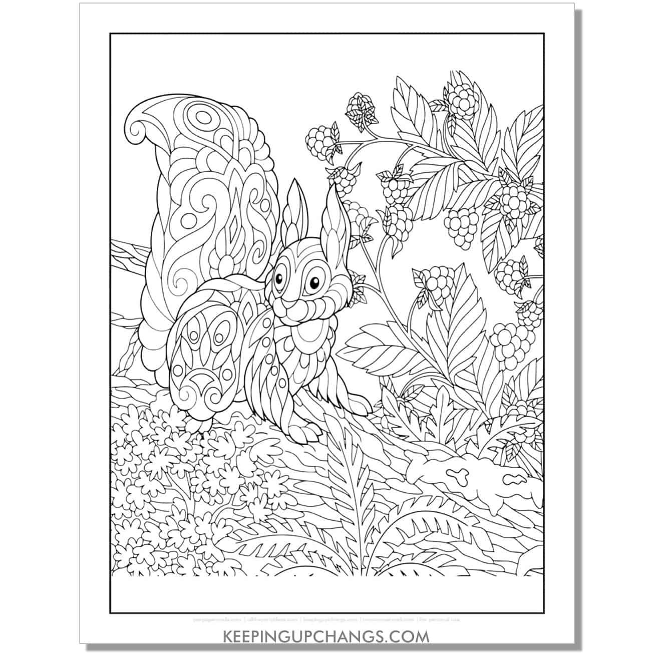 free squirrel mandala zentangle full page coloring page, sheet.