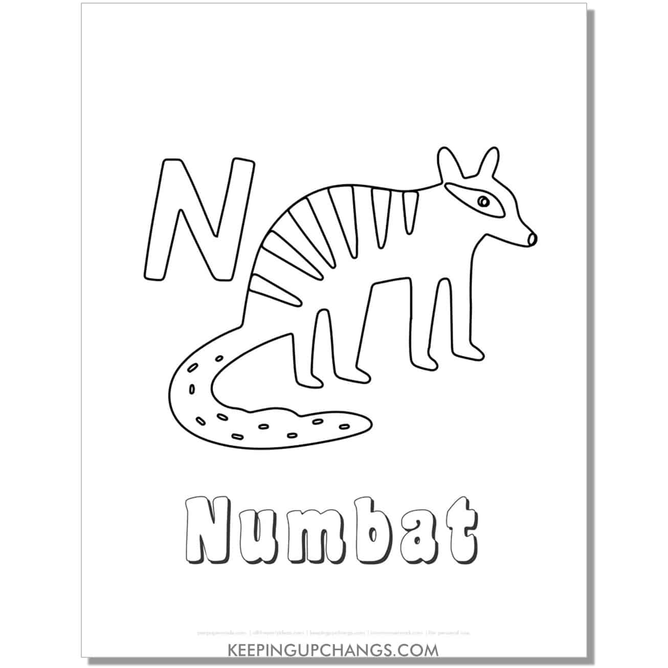 fun abc n coloring page with numbat hand drawing.
