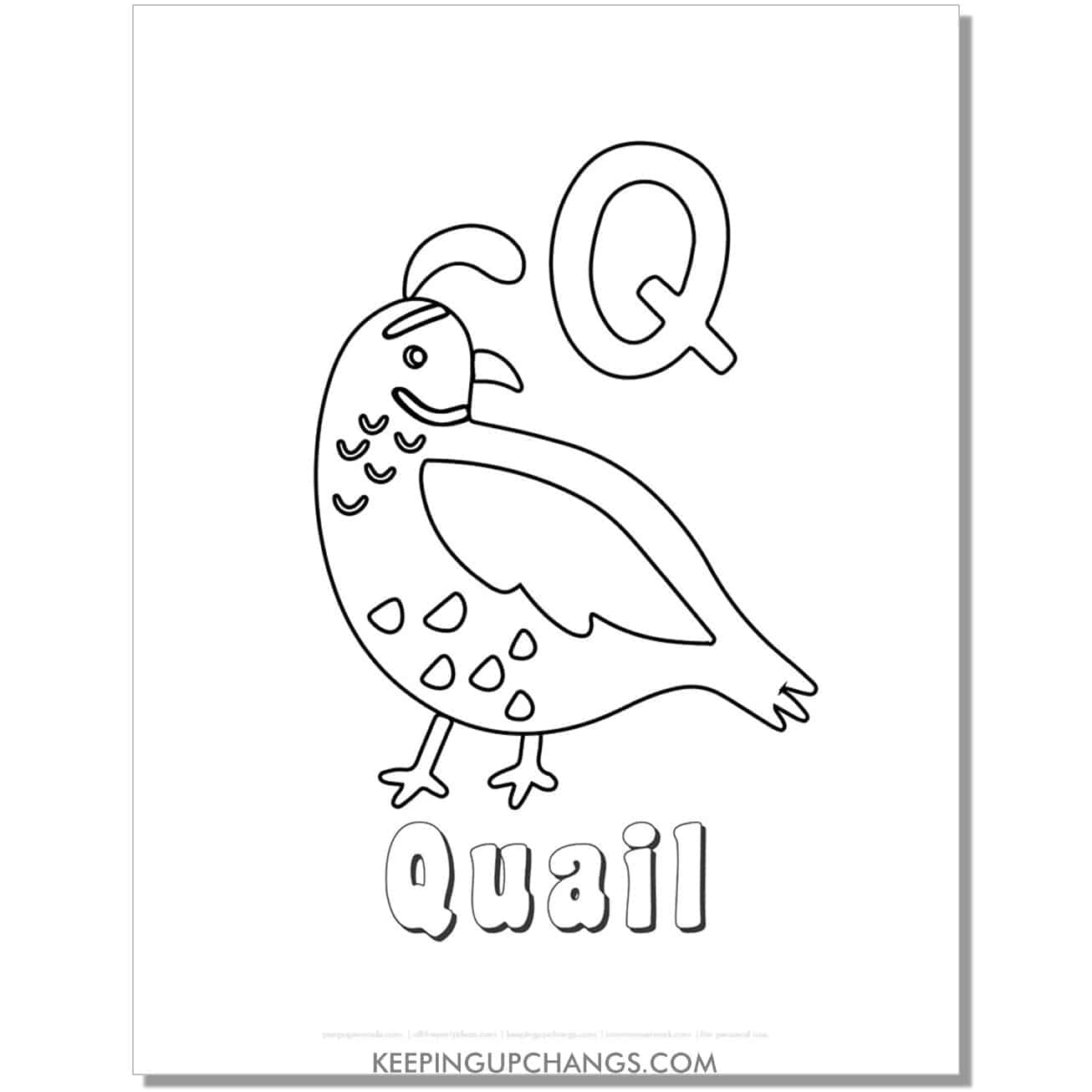 fun abc q coloring page with quail hand drawing.