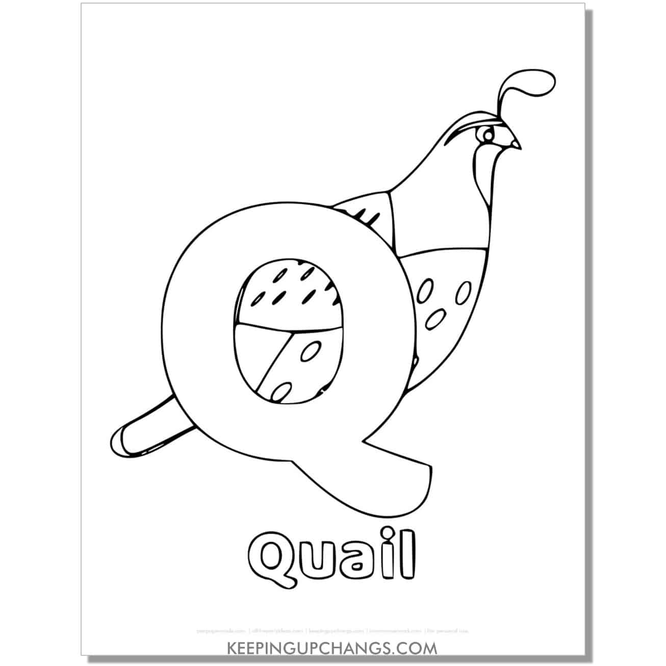 alphabet q coloring worksheet with quail.