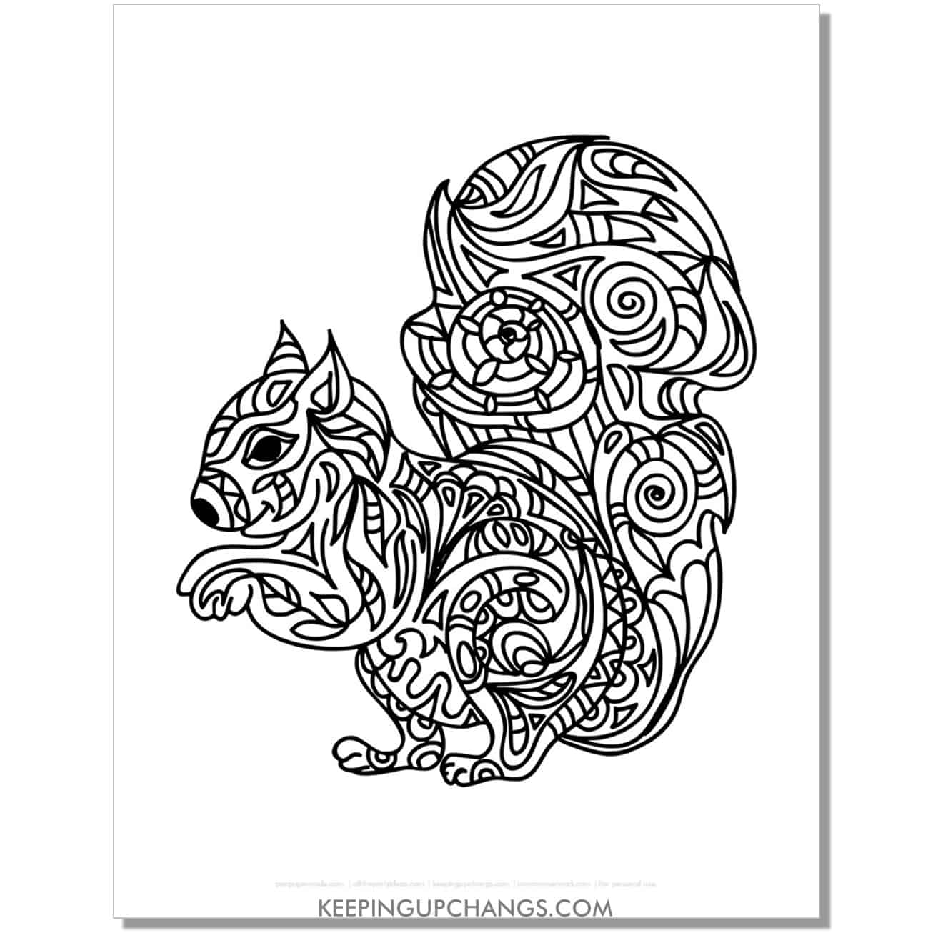 free squirrel mandala zentangle difficultcoloring page, sheet.