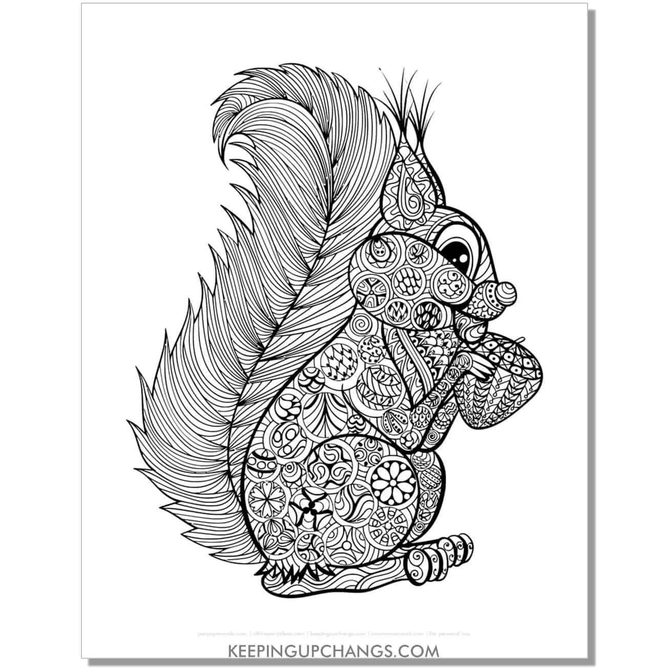 free squirrel mandala zentangle intricate coloring page, sheet.