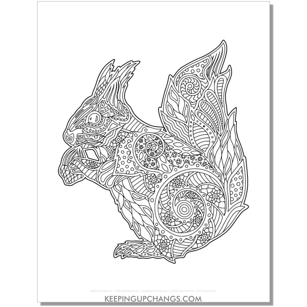 free squirrel mandala zentangle outline coloring page, sheet.