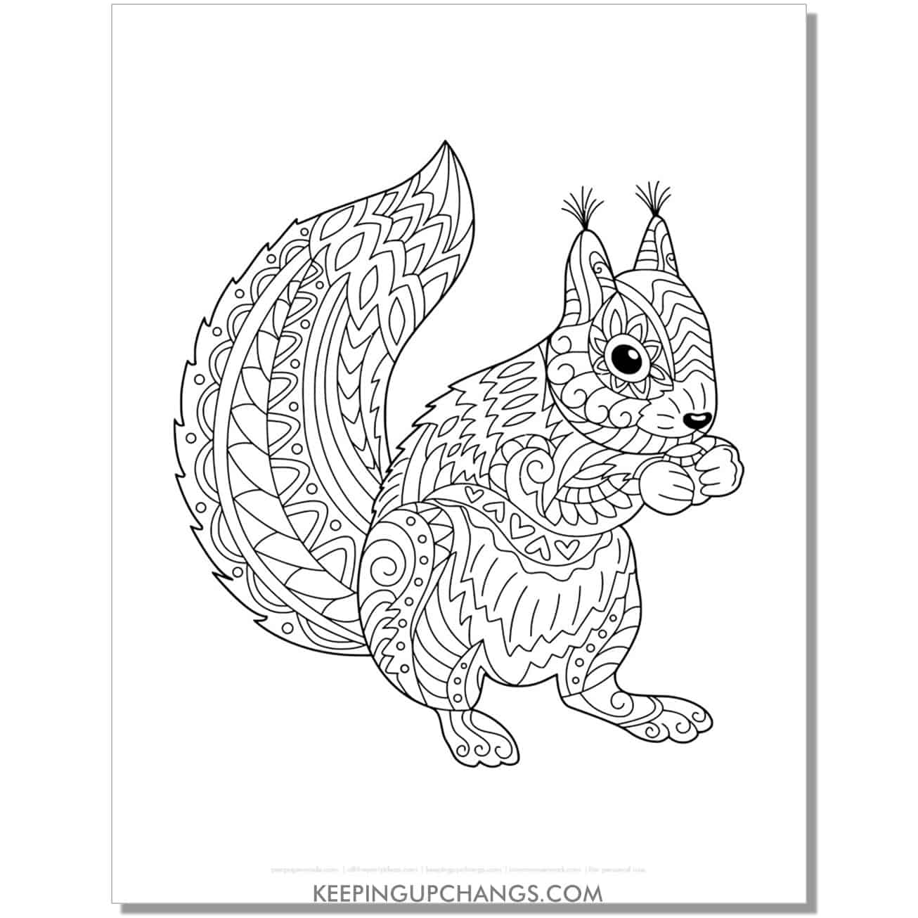 free squirrel mandala zentangle adult beginner coloring page, sheet.