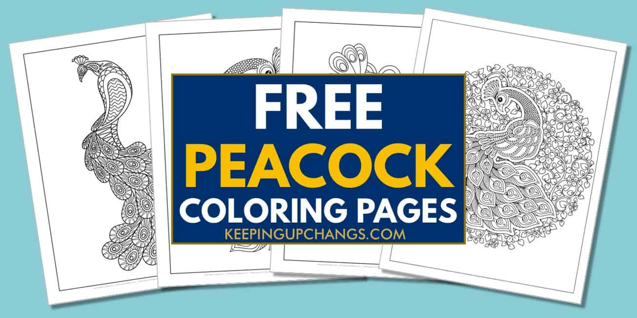 spread of free peacock coloring pages.