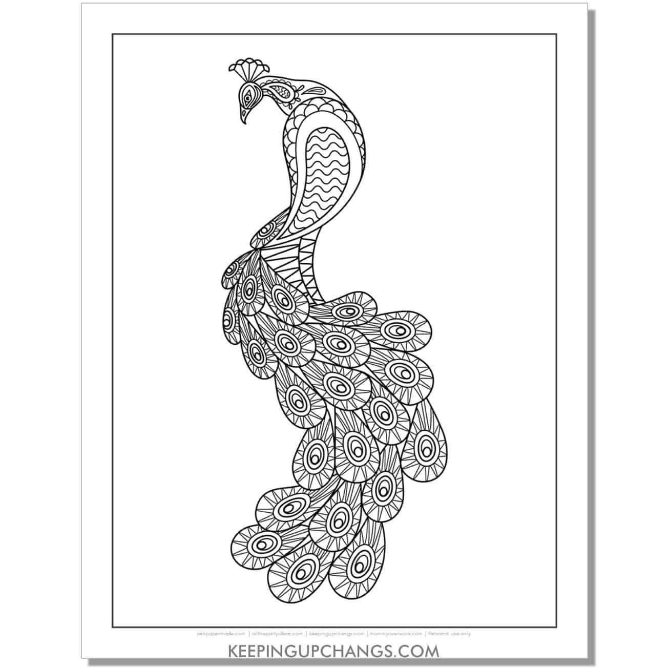 fancy peacock coloring page.