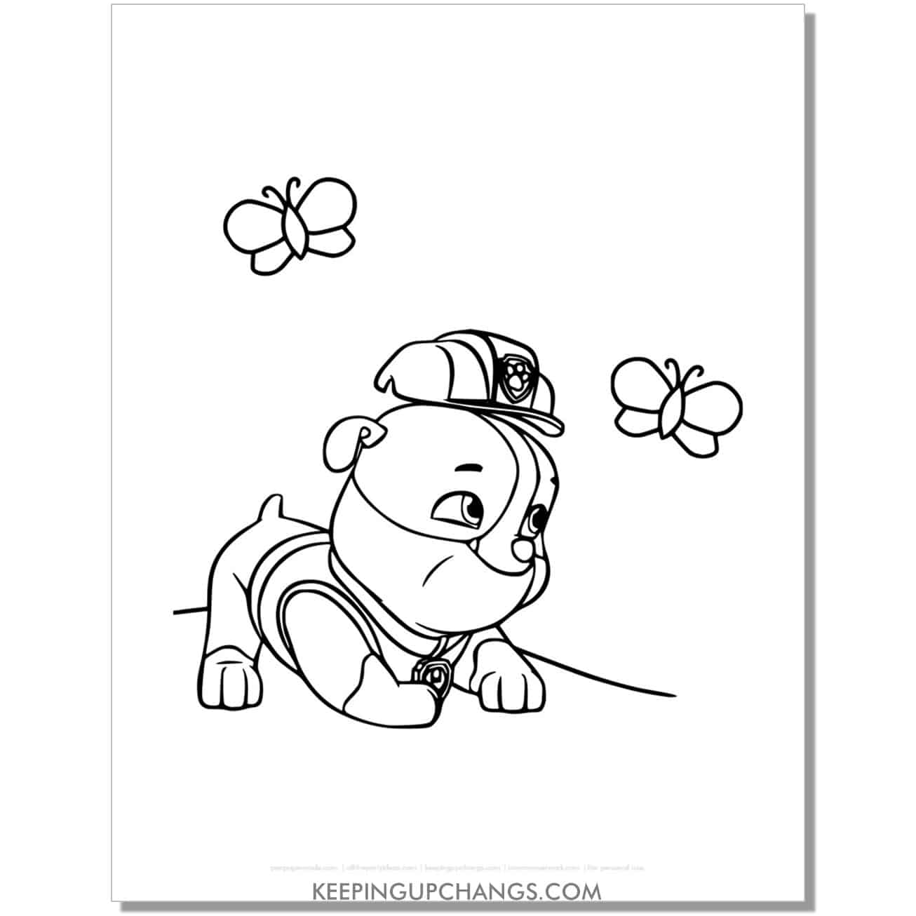 free rubble chasing butterfly paw patrol coloring page, sheet.