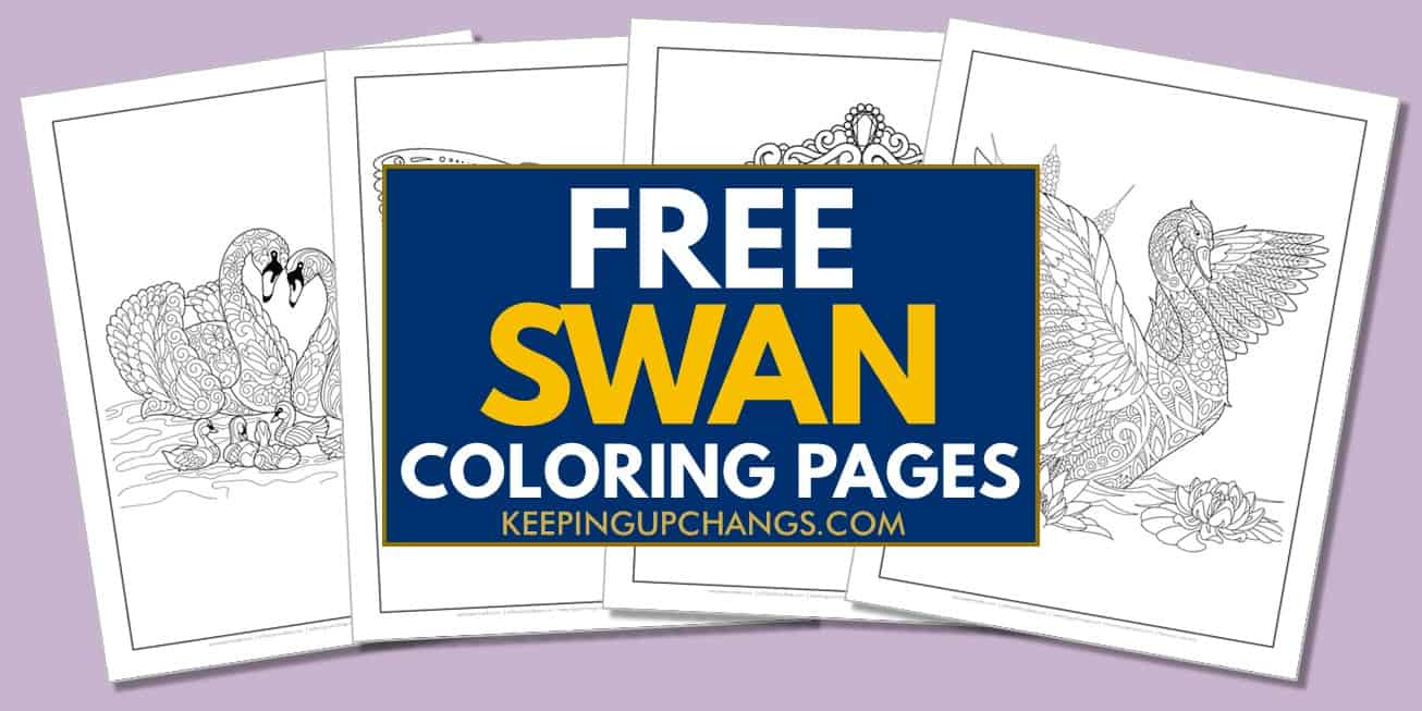 spread of free swan coloring pages.