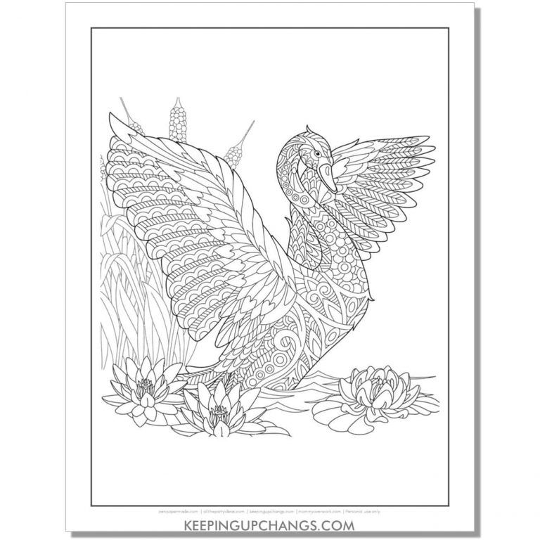 19+ Free Swan Coloring Pages, Sheets [POPULAR Printables!]