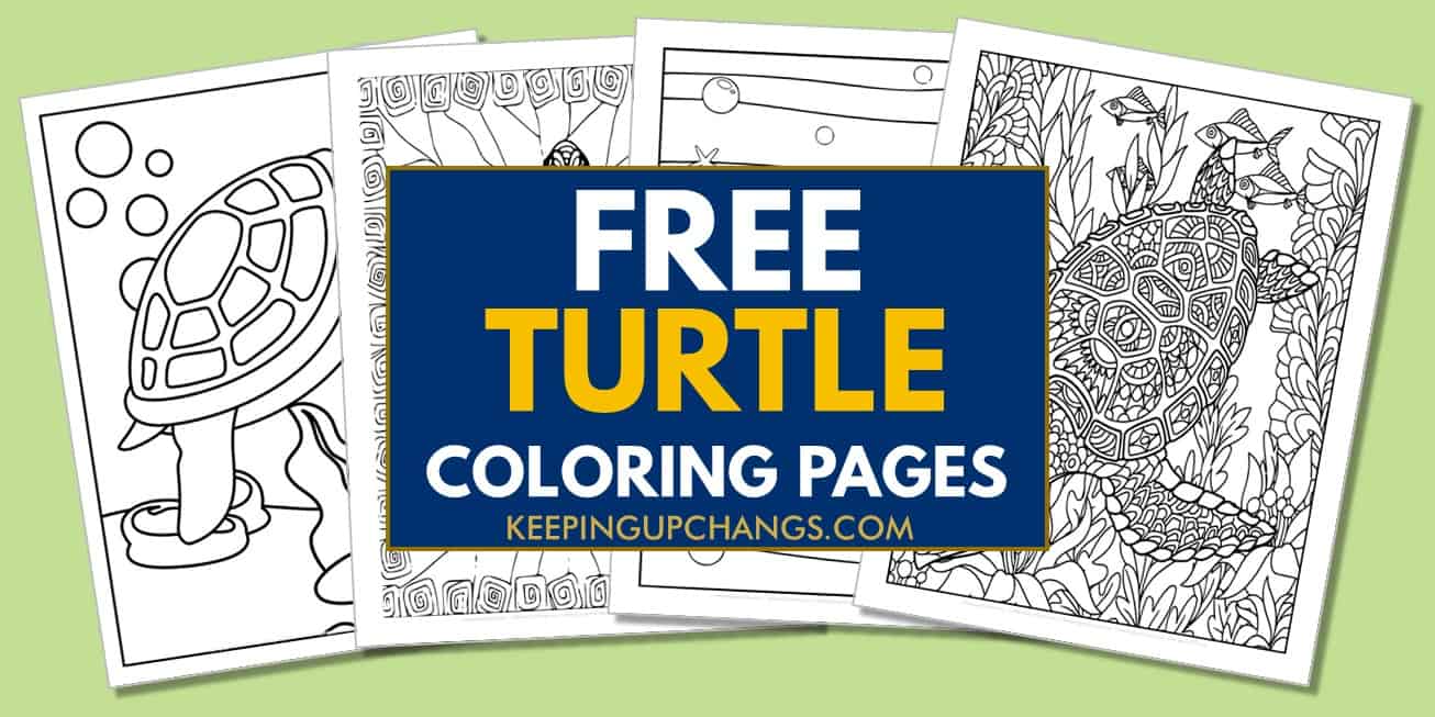 spread of turtles coloring pages, sheets.