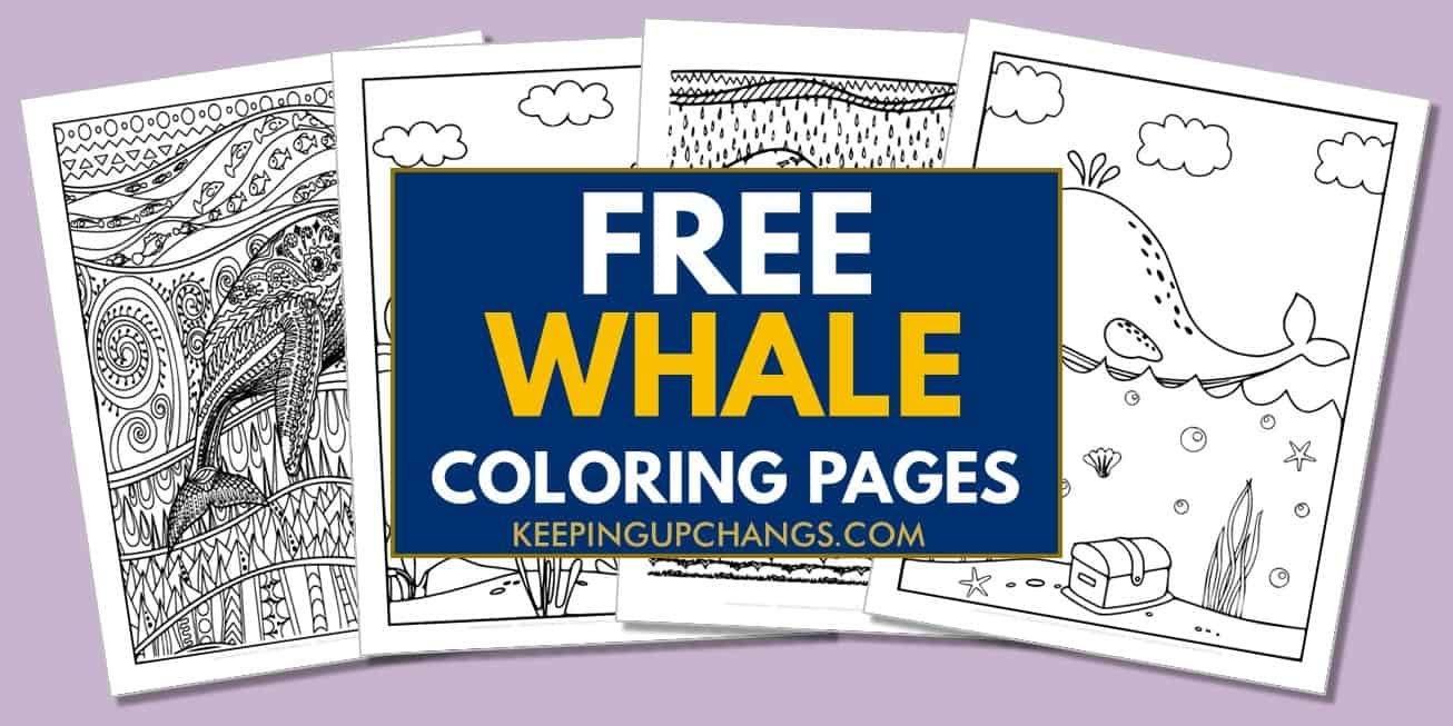 spread of whale coloring pages, sheets.