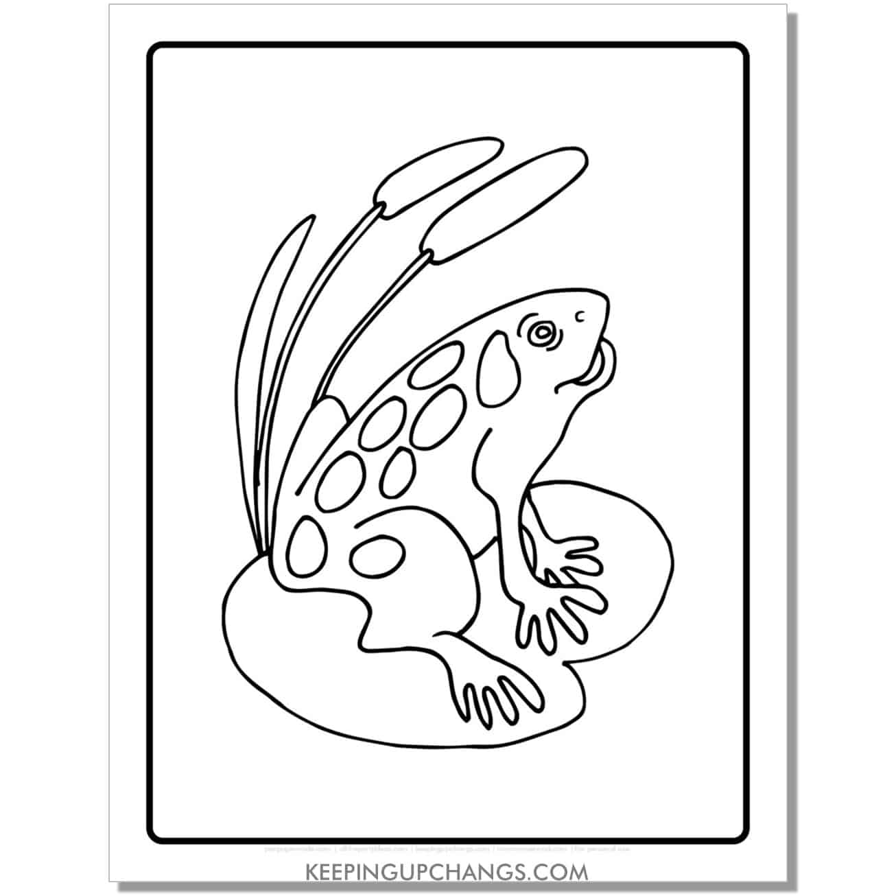 free spotted frog coloring page, sheet with lily weed.