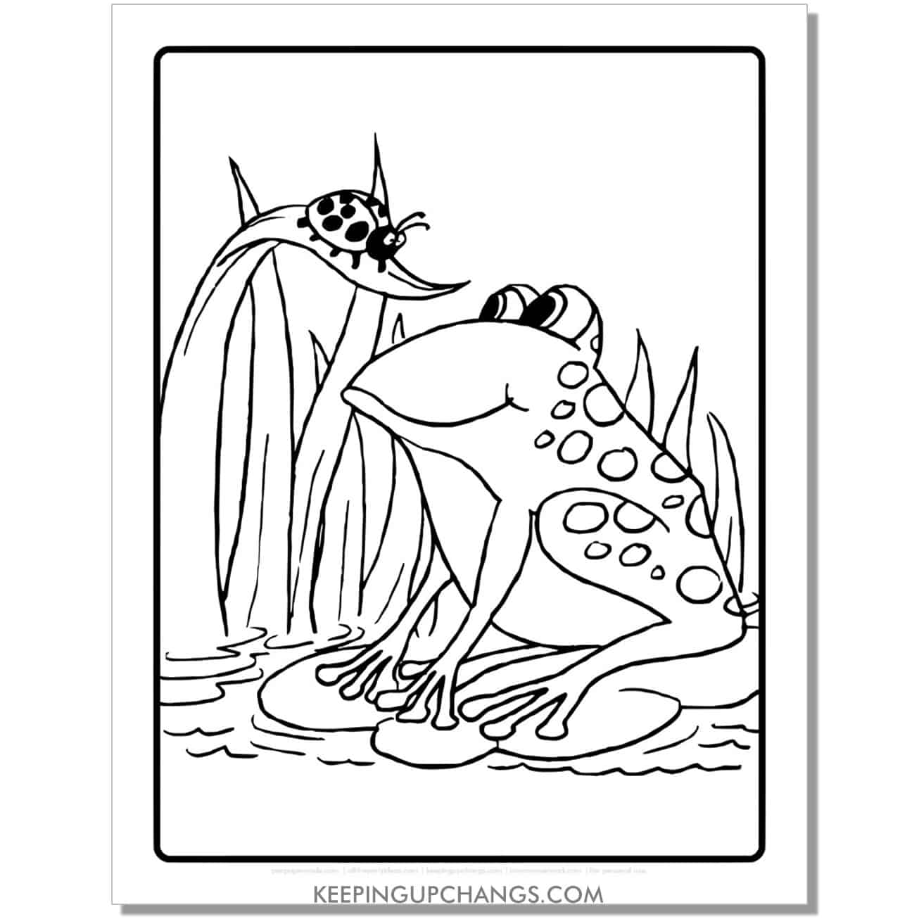 free hand drawn frog coloring page, sheet with ladybug.