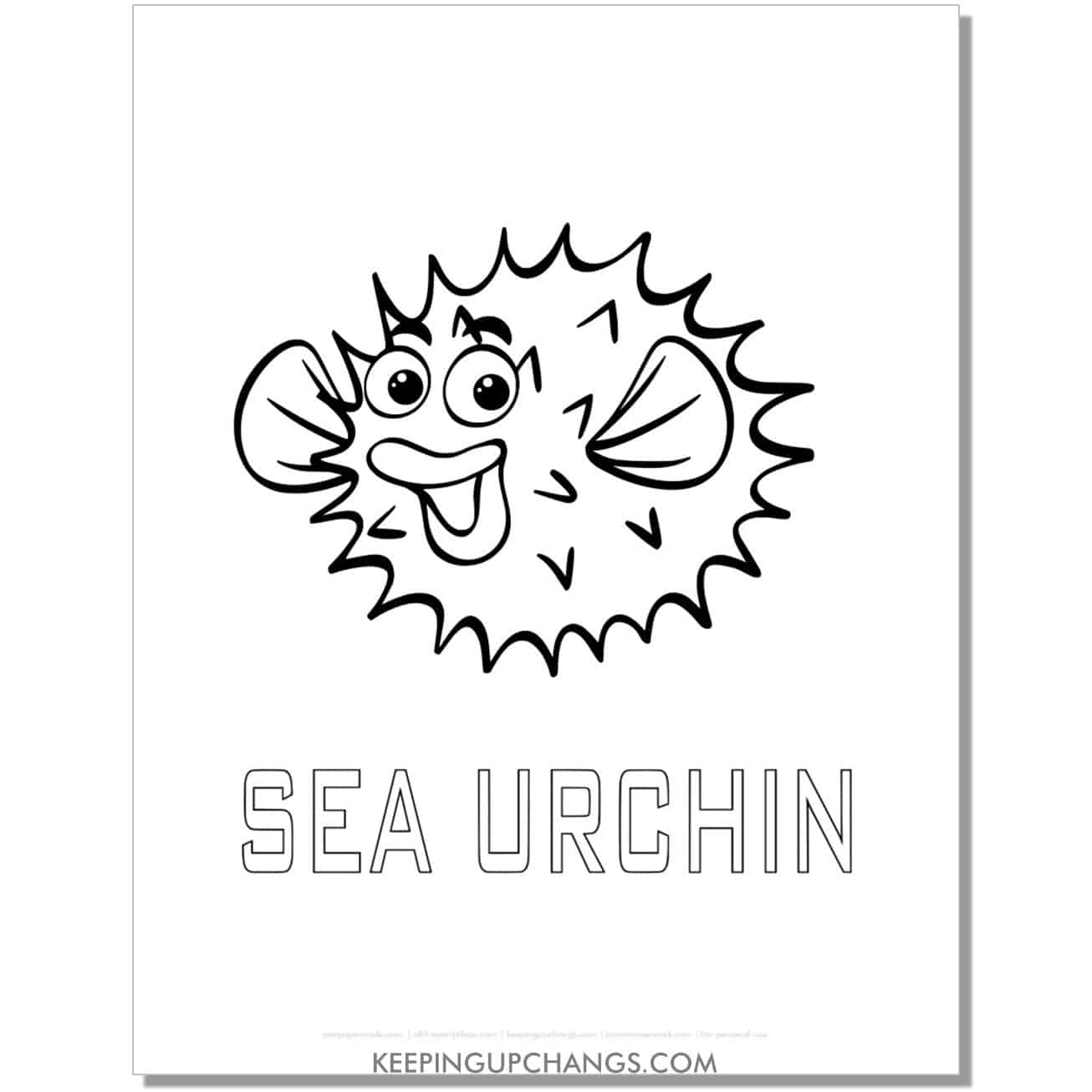 free sea urchin coloring page, sheet.