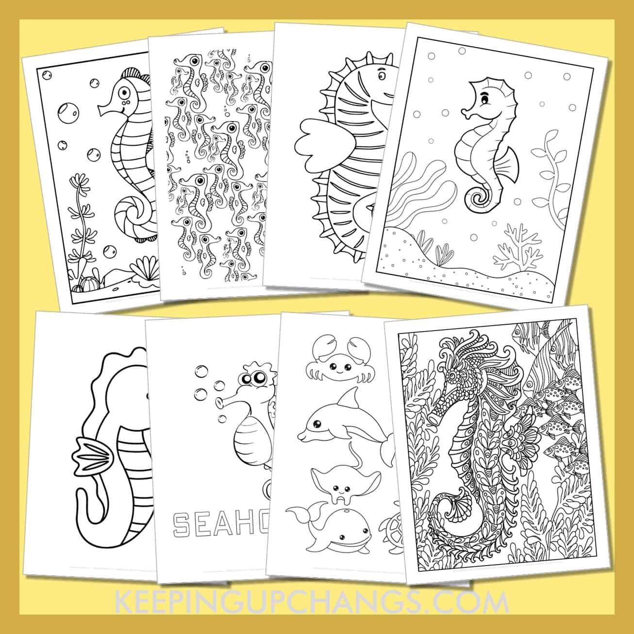 free seahorse to color for toddlers, kids, adults.