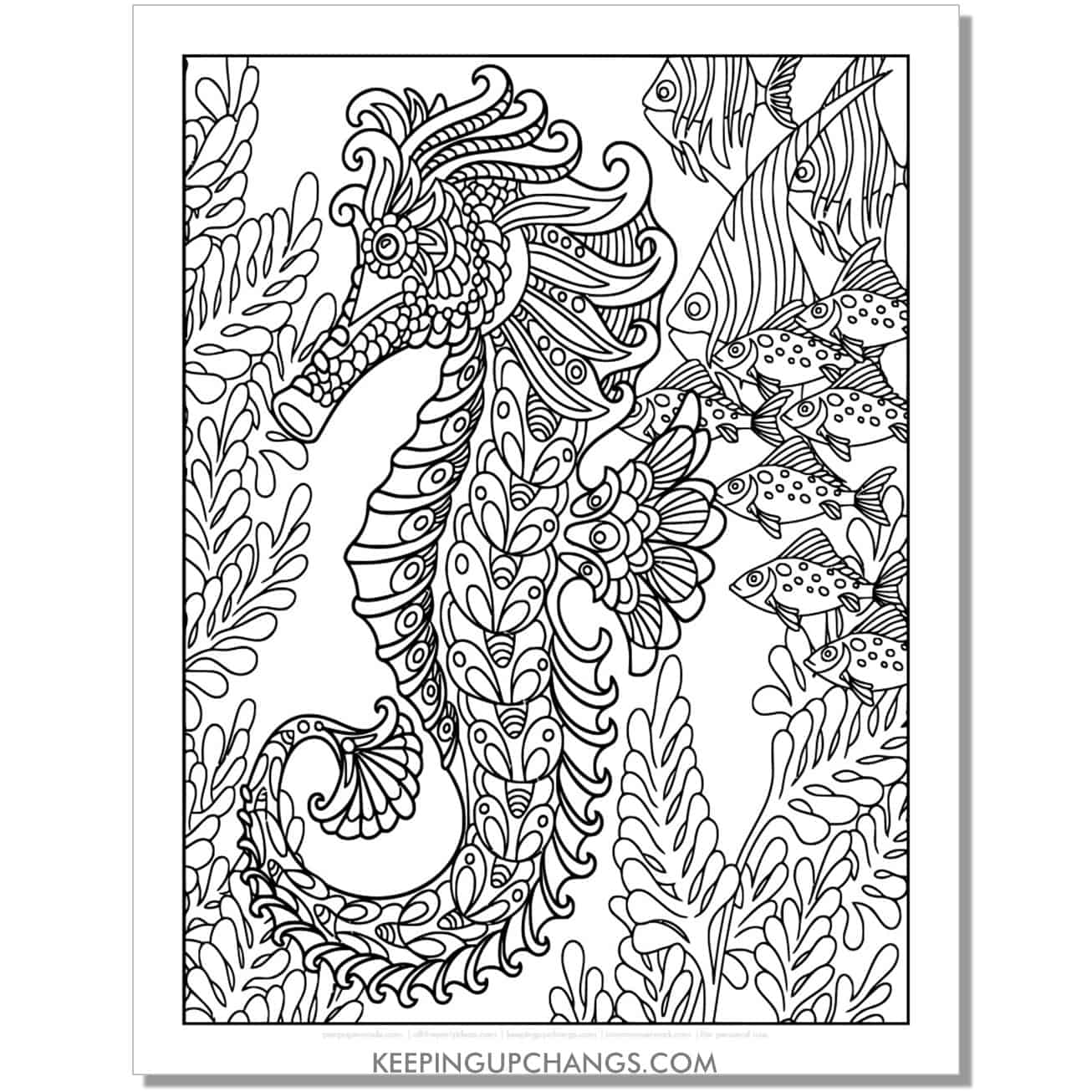 free advanced, complicated seahorse coloring page, sheet for adults.
