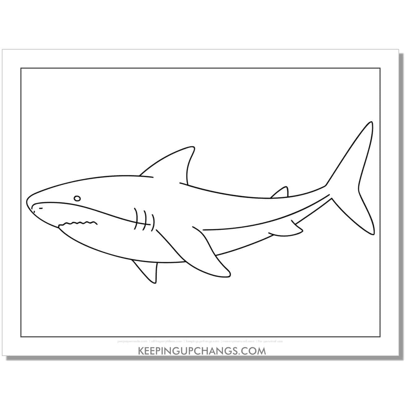 free mako, bull shark coloring page, sheet.
