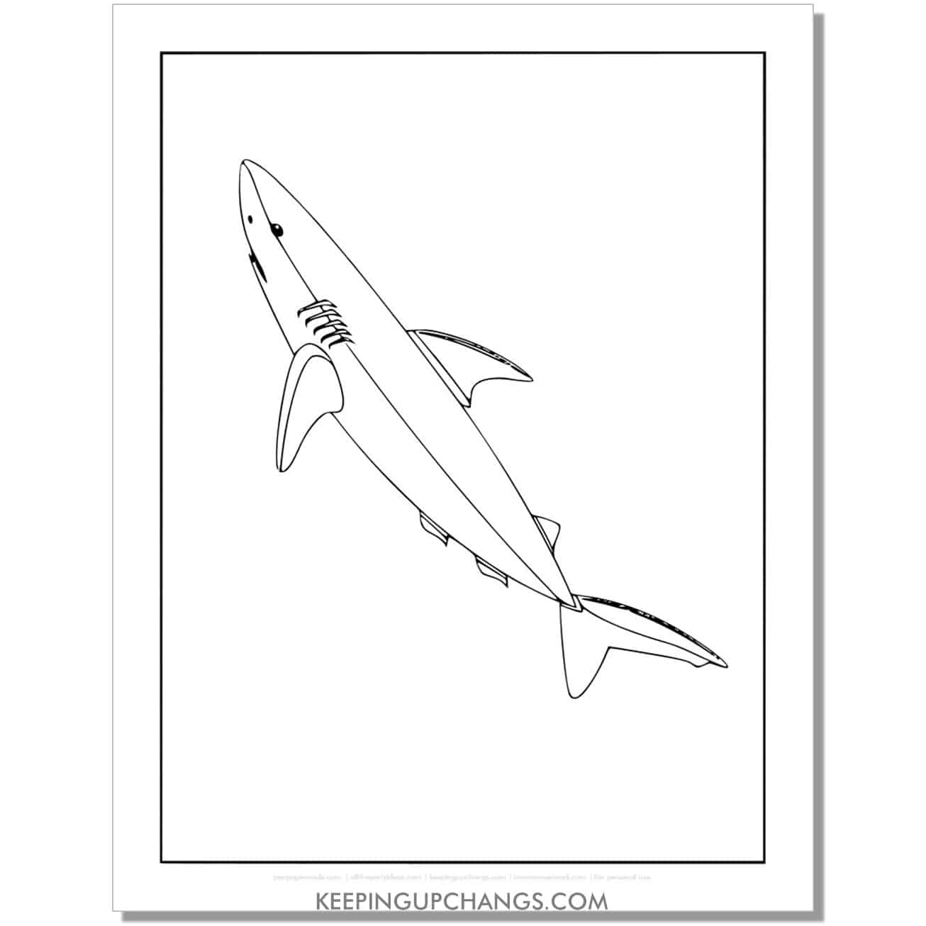 free skinny shark coloring page, sheet.