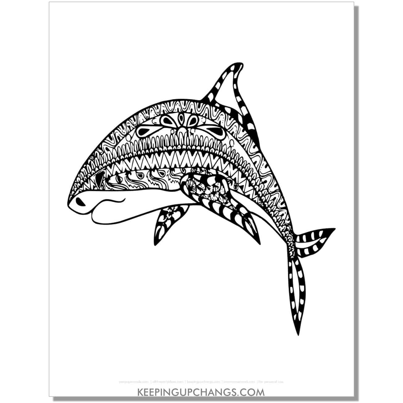 free intricate, detailed shark coloring page, sheet for adults.