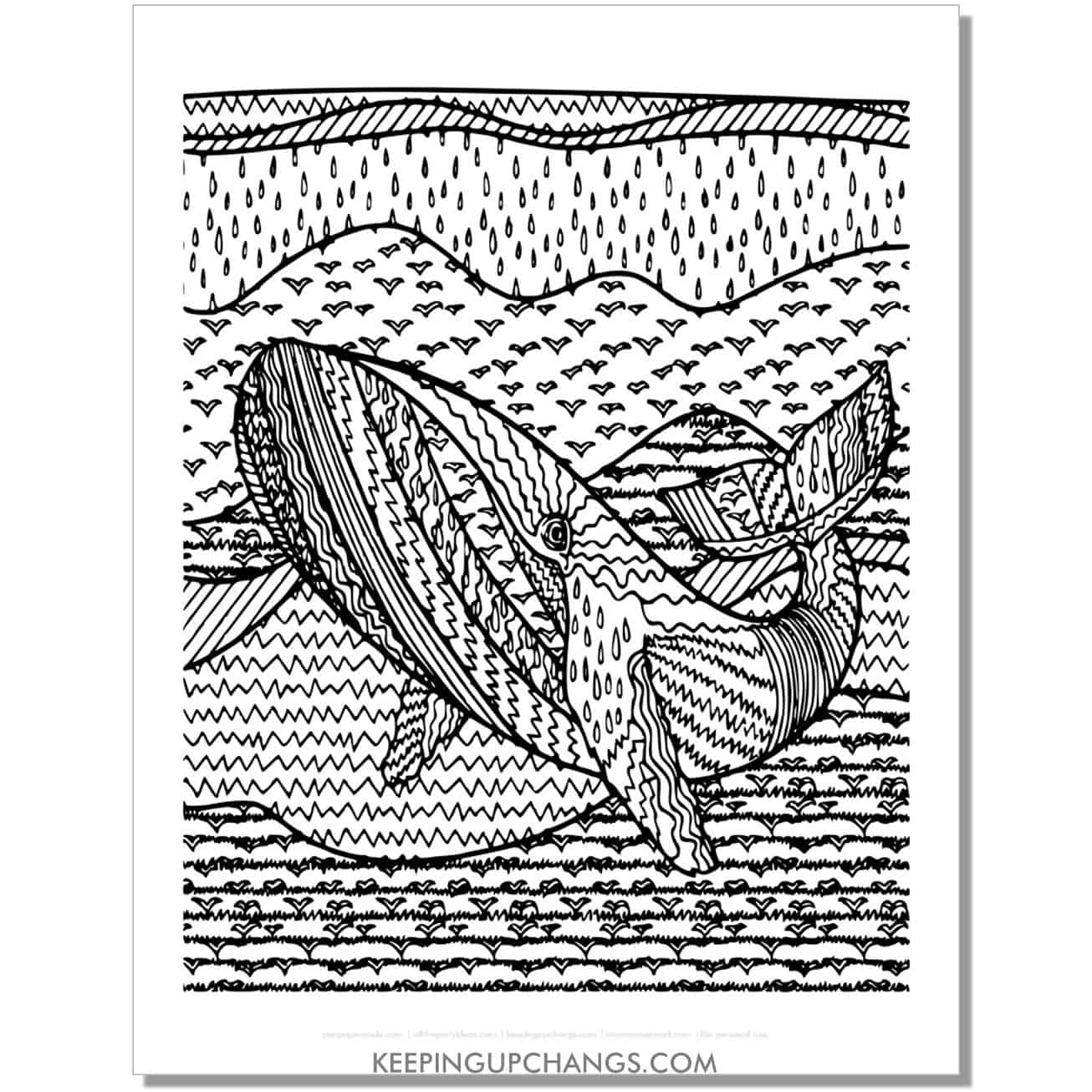 free detailed whale coloring page, sheet.