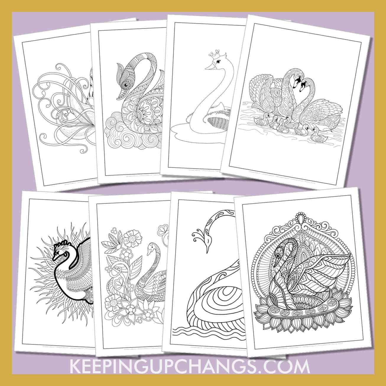 swan colouring sheets including flying, floating, swimming trumpet swans.