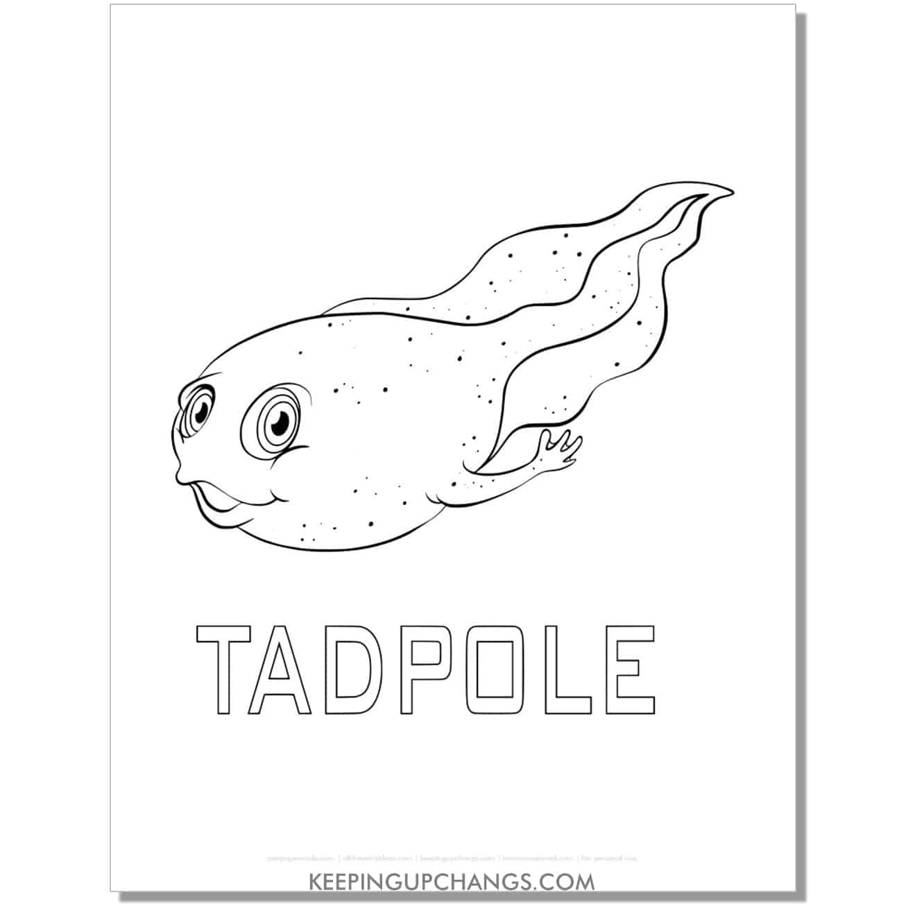 free tadpole fish coloring page, sheet.