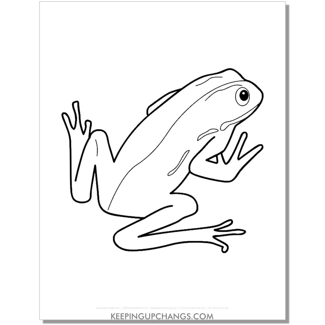free simple outline of tree frog coloring page, sheet.
