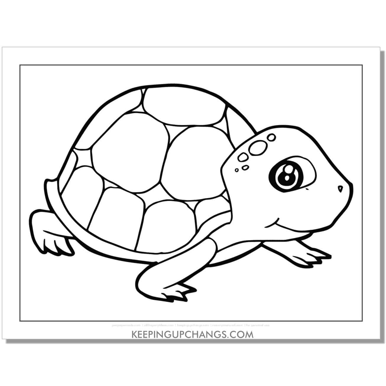free smiling baby turtle coloring page, sheet.