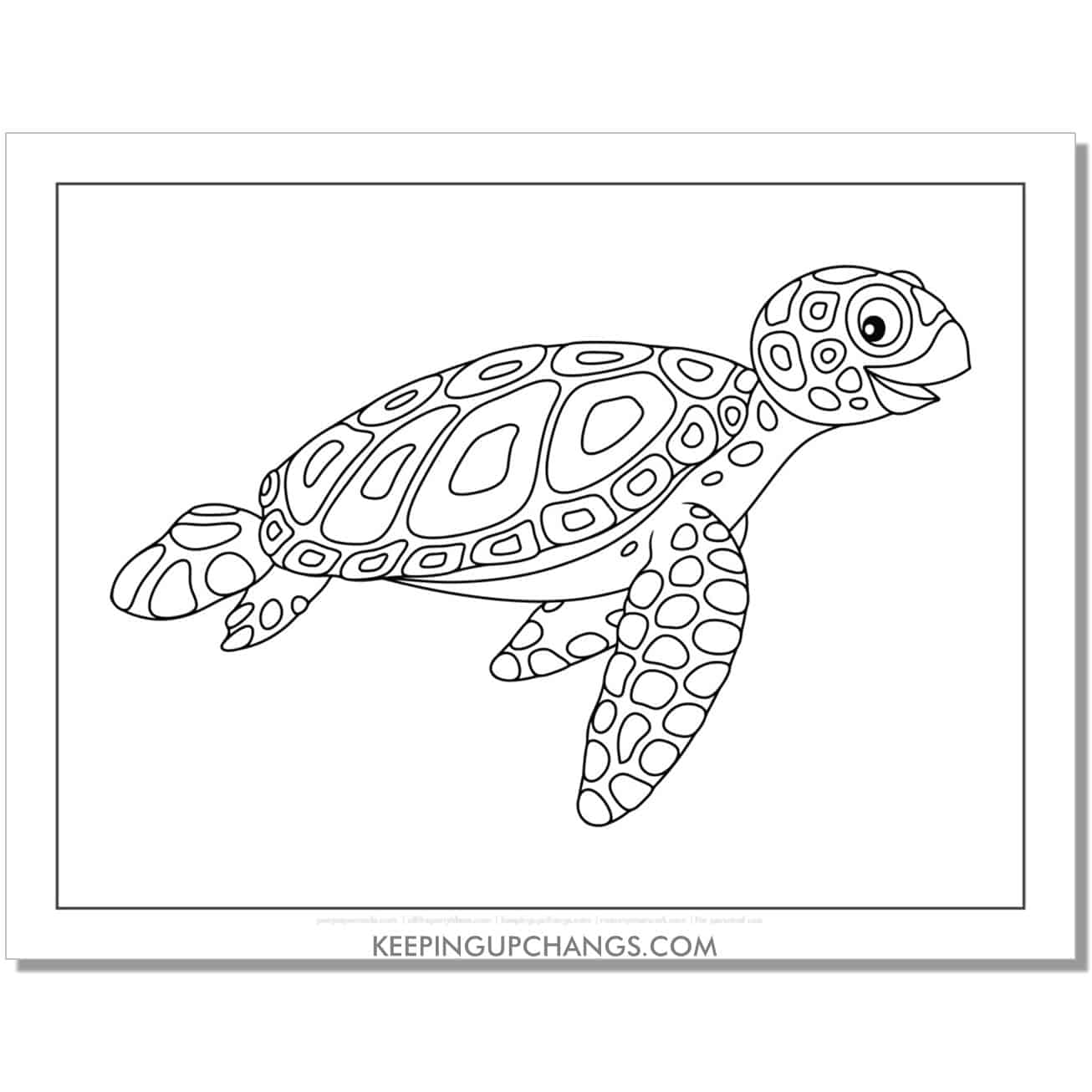 free detailed turtle coloring page, sheet pattern for kids.